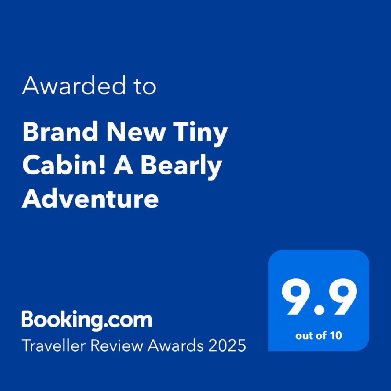 Brand New Tiny Cabin! A Bearly Adventure Sevierville Extérieur photo